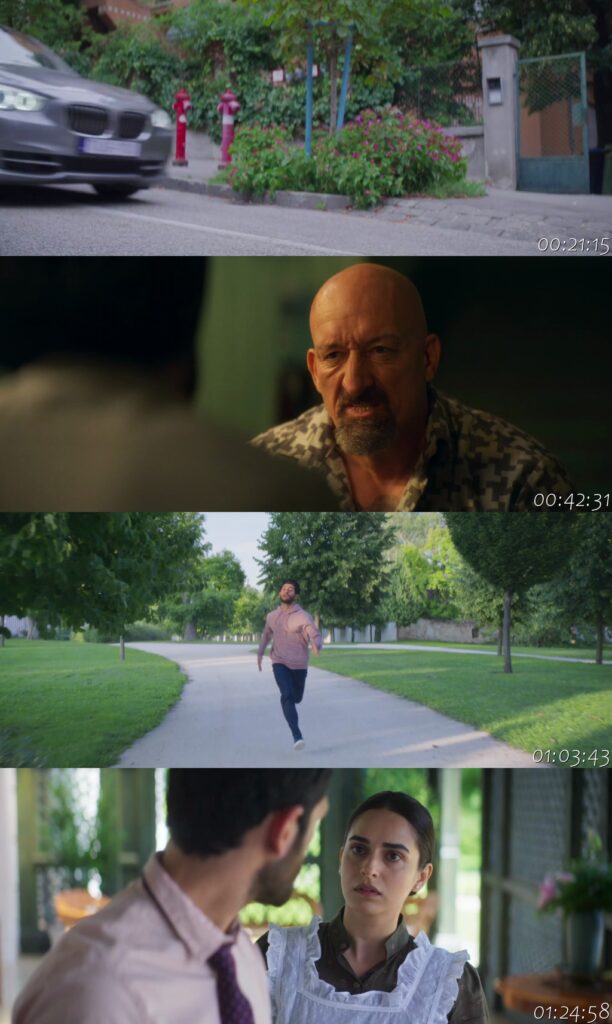 Detective Sherdil 2025